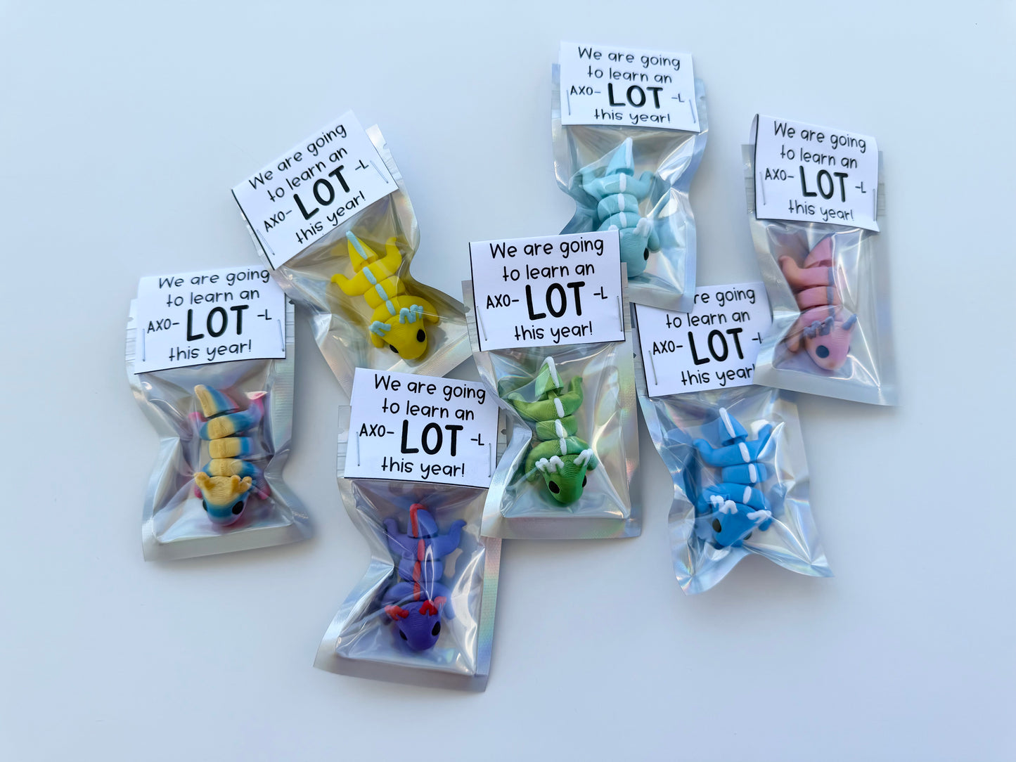 AXO-LOT-L Student Gift