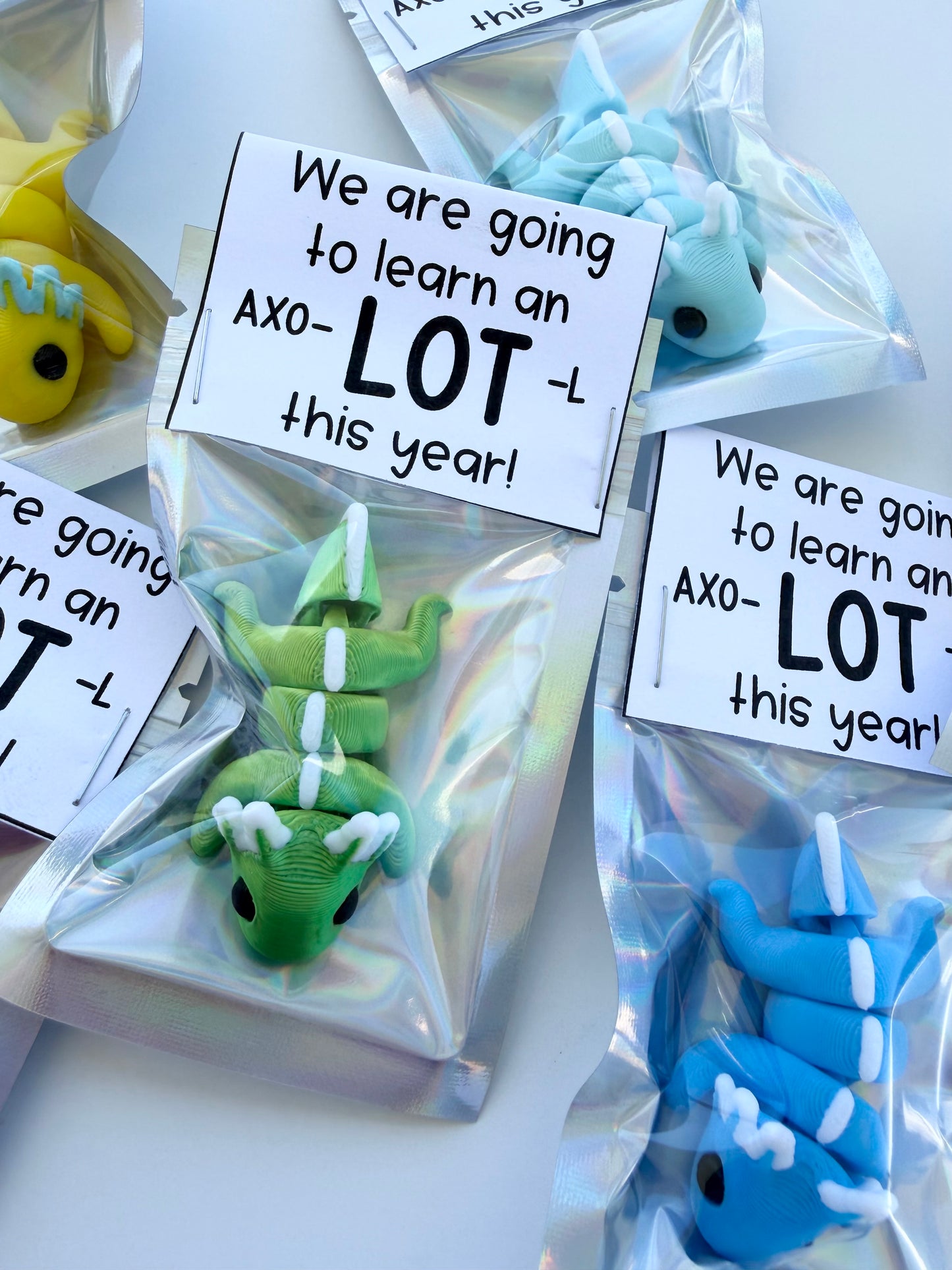 AXO-LOT-L Student Gift