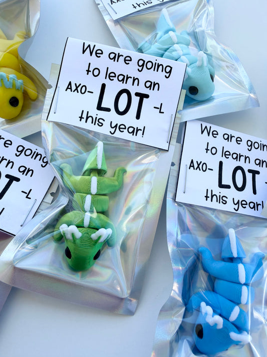 AXO-LOT-L Student Gift