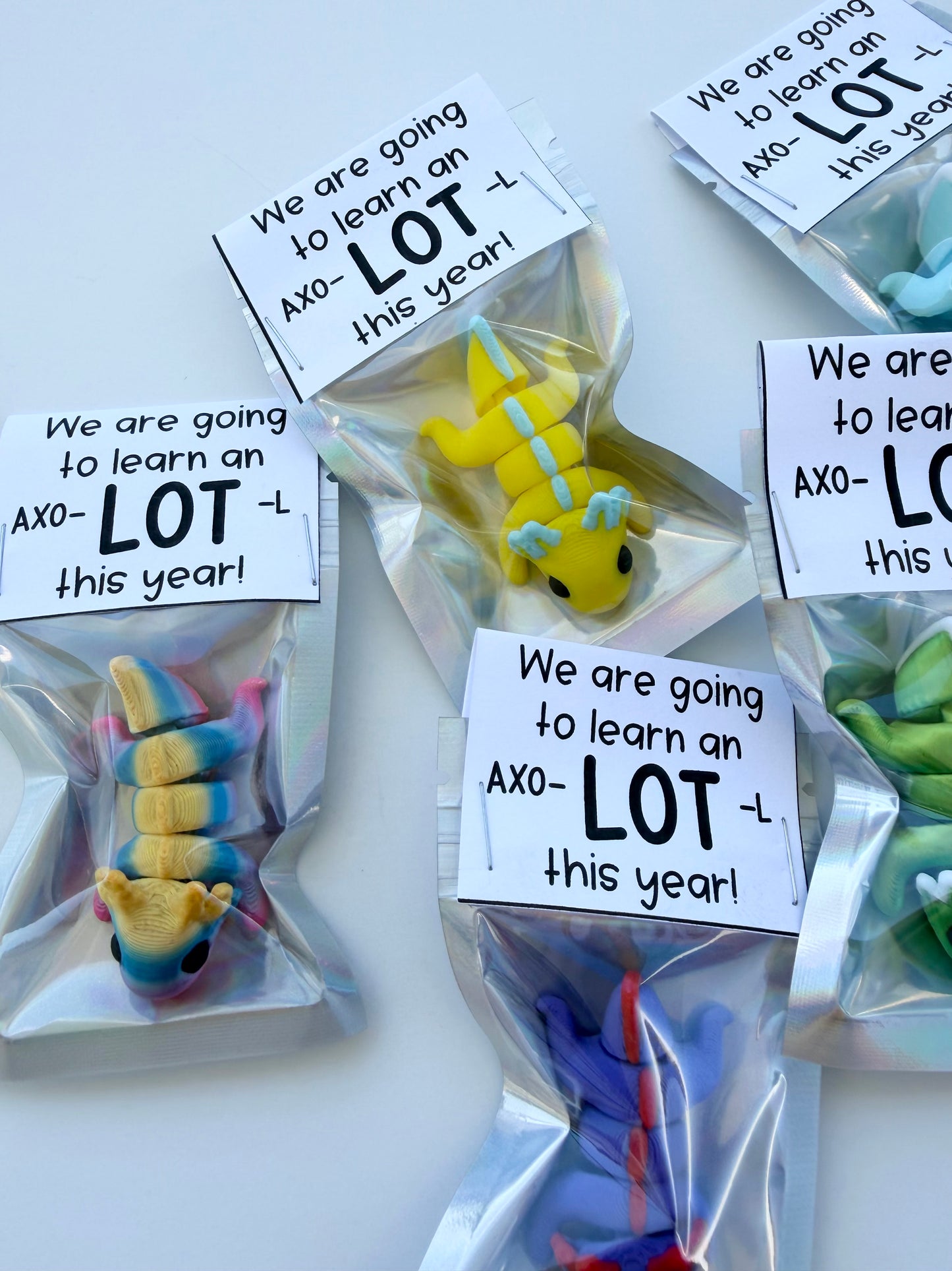AXO-LOT-L Student Gift